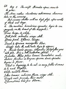 Une page du journal du révérend James Woodforde - English School